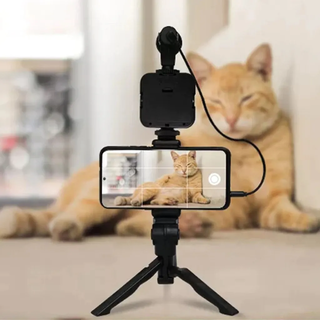 Cámaras Y Accesorios